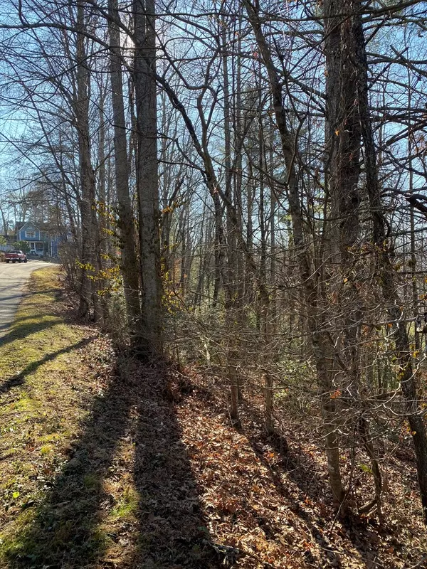 Blairsville, GA 30512,lot 17 Acres Townhouse Cir