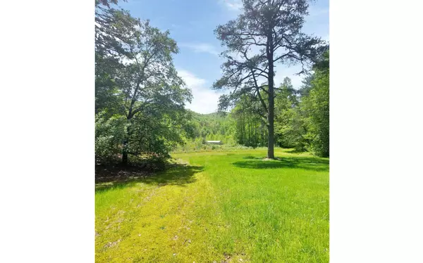 Blairsville, GA 30512,563 Craig Gap Road