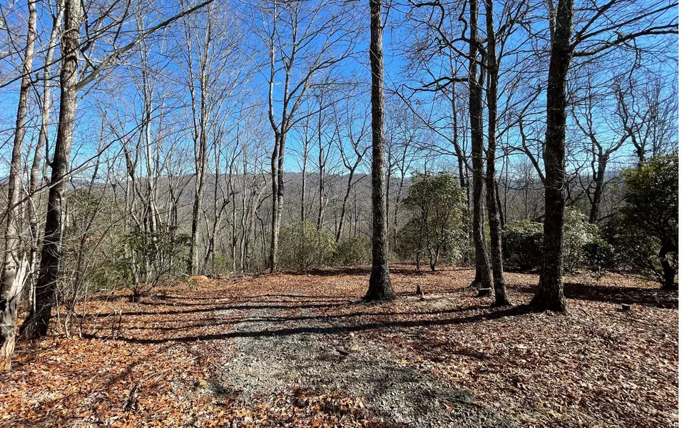 LOT 4 Caesar Gap Road, Hiawassee, GA 30546