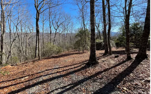 Hiawassee, GA 30546,LOT 4 Caesar Gap Road