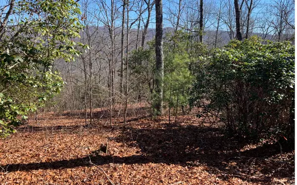 Hiawassee, GA 30546,LOT 4 Caesar Gap Road