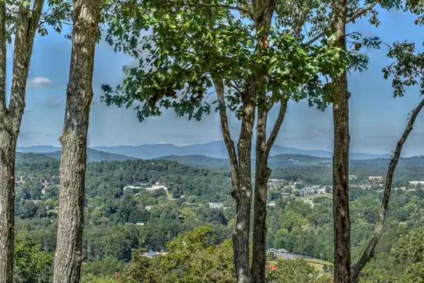 Blue Ridge, GA 30513,333 Eagles Nest Mountain Road