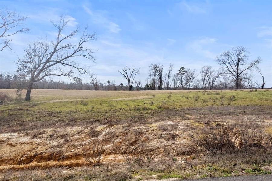 Lot 48 Southshore, Pittsburg, TX 75686