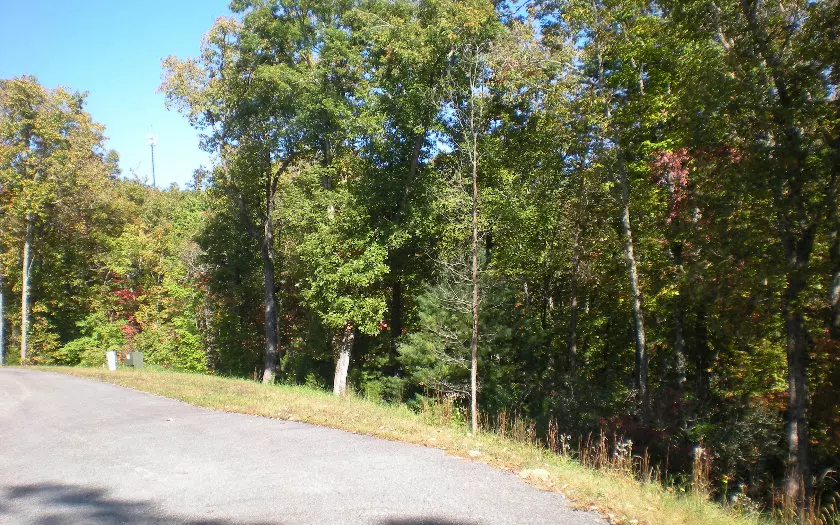 LOT 8 Robert Drive, Ellijay, GA 30536