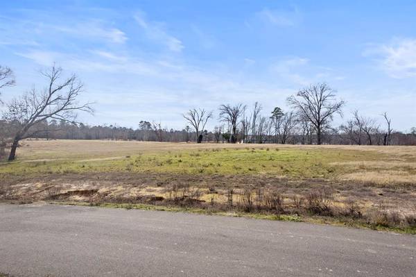 Pittsburg, TX 75686,Lot 48 Southshore