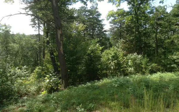 Ellijay, GA 30536,LOT 8 Robert Drive