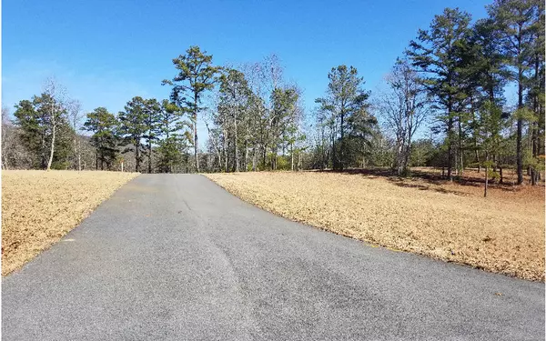 Blairsville, GA 30512,L 131 Fox Lake East- 131