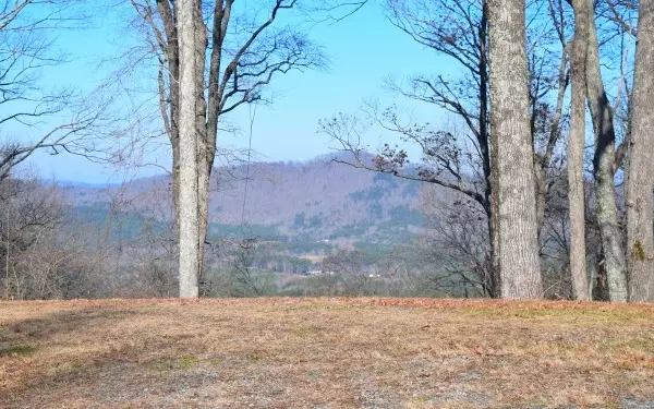 Murphy, NC 28906,740 Wilderness Creek Way