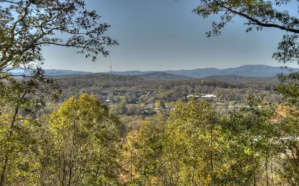 Blue Ridge, GA 30513,333 Eagles Nest Mountain Road