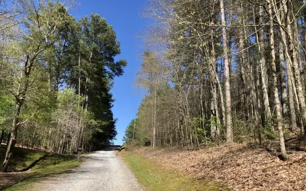 Mineral Bluff, GA 30513,Toccoa River Forest