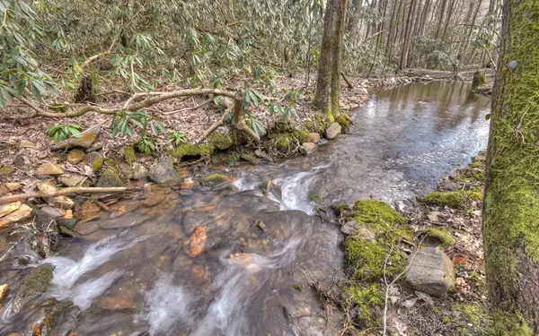 Cherry Log, GA 30522,2776 Stanley Creek Road