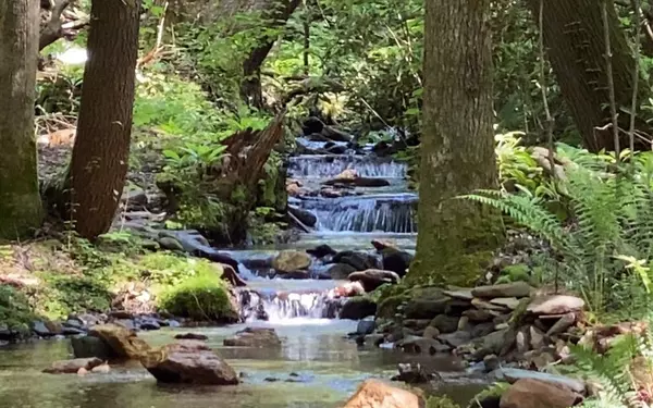 Cherry Log, GA 30522,2776 Stanley Creek Road