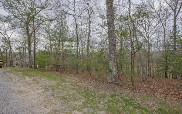 Mineral Bluff, GA 30559,LT104 Old Toccoa Farm Loop