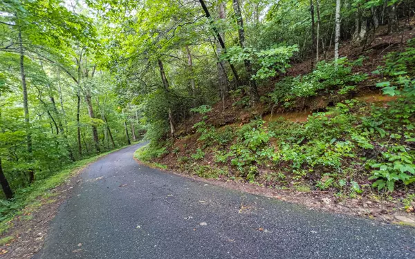 LT4 White Oak Forest Road, Hiawassee, GA 30546