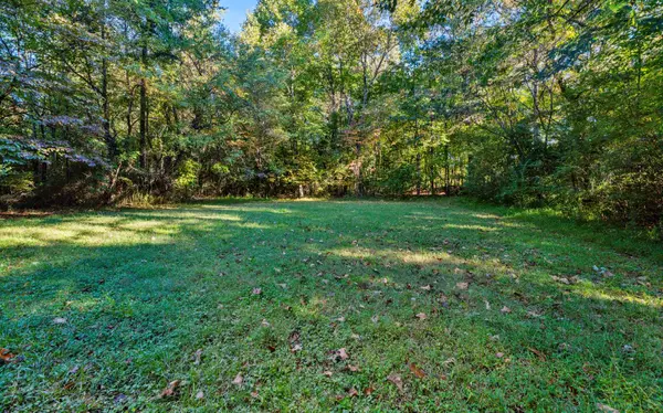 East Ellijay, GA 30540,179 Old Pine Way