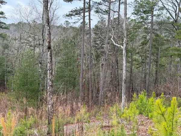 Ellijay, GA 30541,Lot 137 Sundown Trail