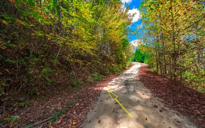 LOT22 Dancing Leaves Trail, Blue Ridge, GA 30513