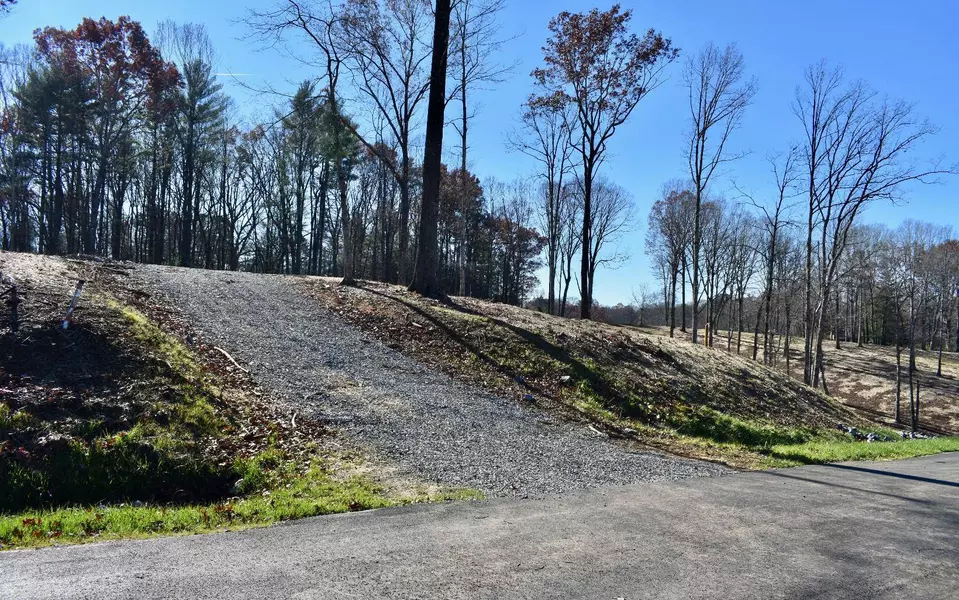 LOT 4 Mystic Drive, Ellijay, GA 30540