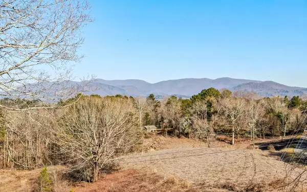 Ellijay, GA 30540,37 Vista Drive