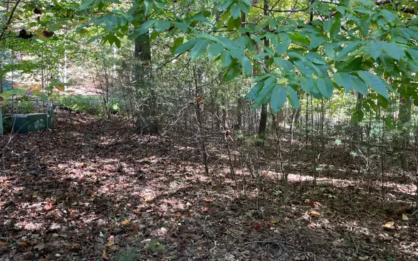 Blairsville, GA 30512,Summit Way Lot 18