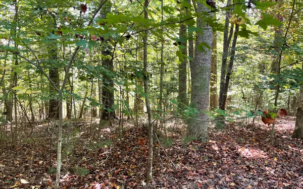 Blairsville, GA 30512,Summit Way Lot 18