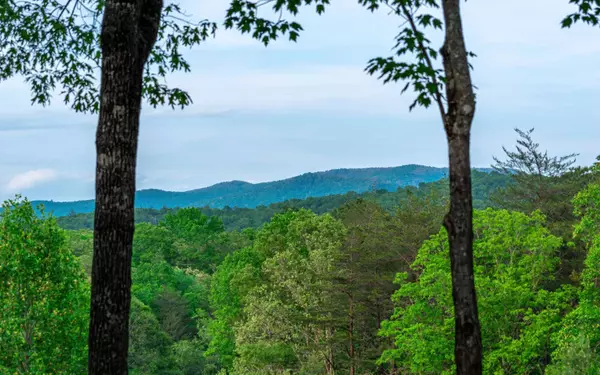 Cherry Log, GA 30522,140 Black Oaks Road