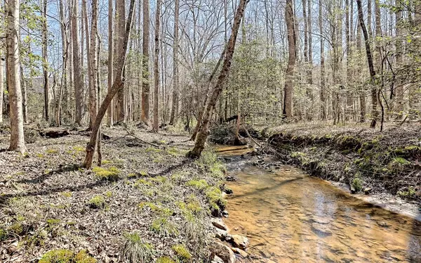 Young Harris, GA 30582,1959 Rolling Meadows Loop