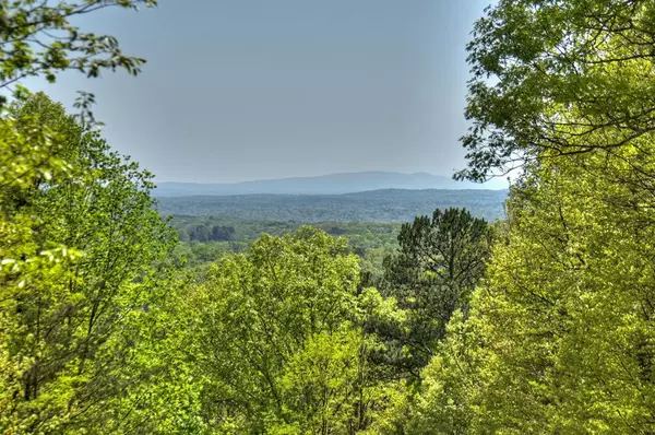 Ellijay, GA 30540,Lot 34 Saw Blade Lane