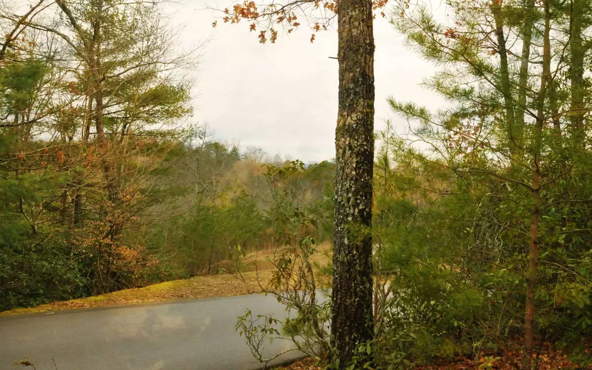 Murphy, NC 28906,LOT 1 Sierra Springs Drive