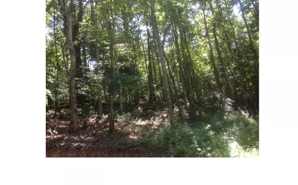 LOT 1 Winding Brook, Morganton, GA 30560