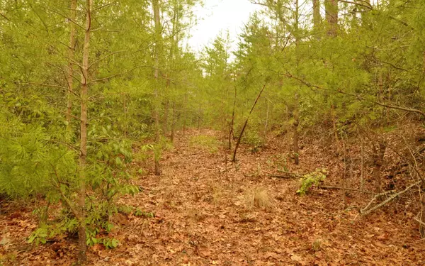 Murphy, NC 28906,LOT 1 Sierra Springs Drive