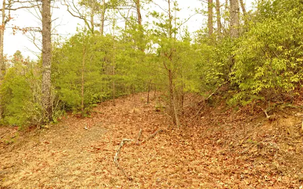 Murphy, NC 28906,LOT 1 Sierra Springs Drive