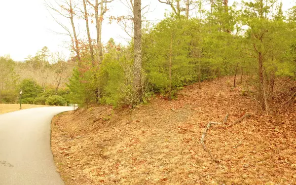 Murphy, NC 28906,LOT 1 Sierra Springs Drive