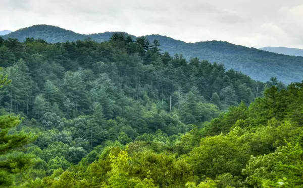 Blue Ridge, GA 30513,443 Pony Ghost Trail