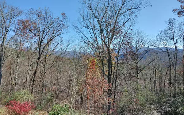 Hayesville, NC 28904,1O Tusquittee Overlook