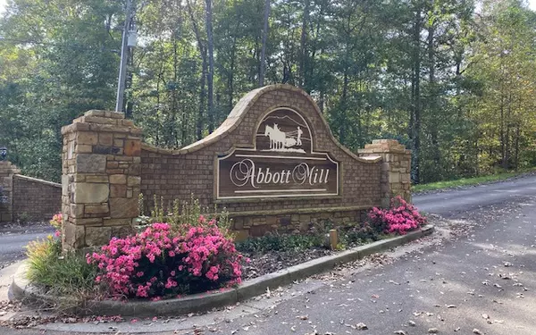 Ellijay, GA 30540,LT 19 Abbott Mill Road