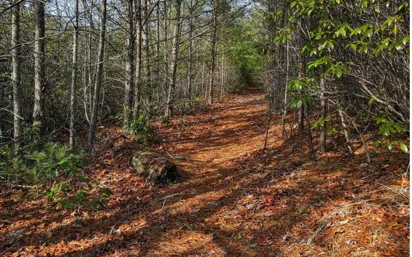 Hiawassee, GA 30546,10 AC Caesar Gap Road