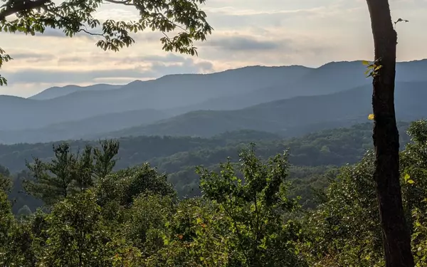 Cherry Log, GA 30522,536 Cohutta Mountain Road