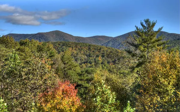 Cherry Log, GA 30522,486 Goose Island Road