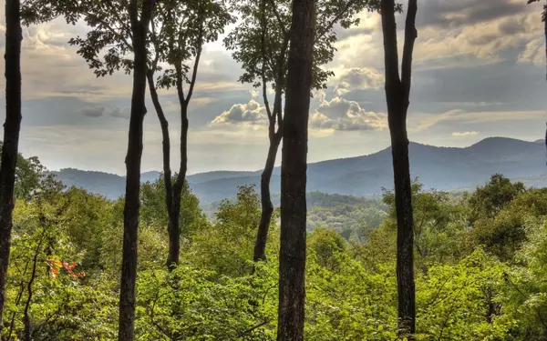 Cherry Log, GA 30522,203 Chimney Rock Road