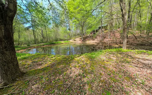 Blairsville, GA 30512,173 Moss Cove Road