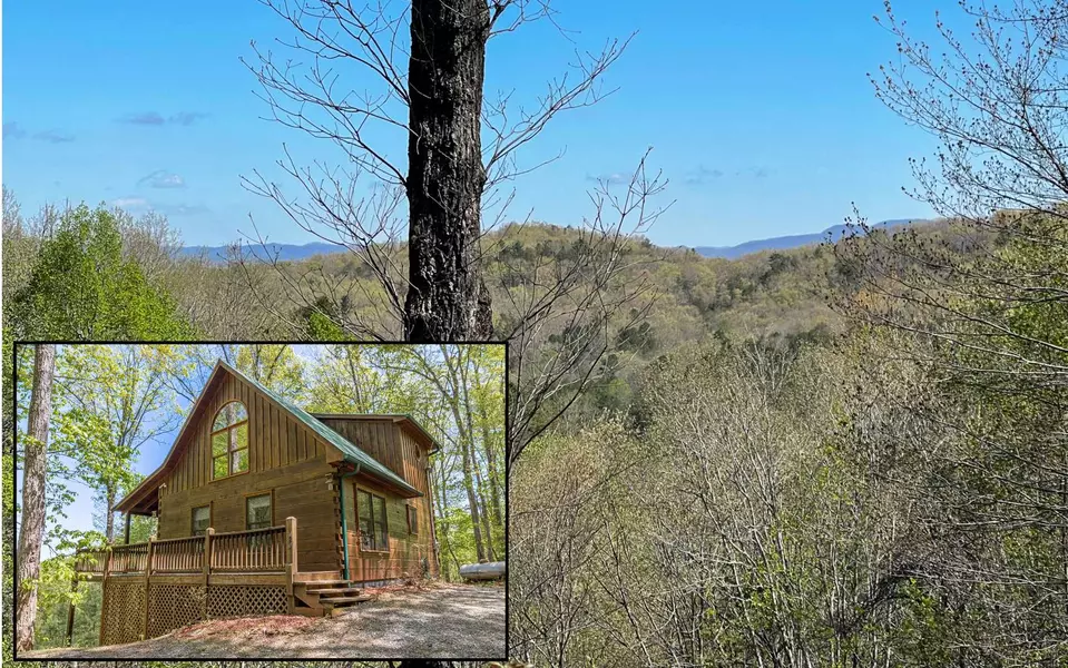 323 Timber Ridge, Blue Ridge, GA 30513