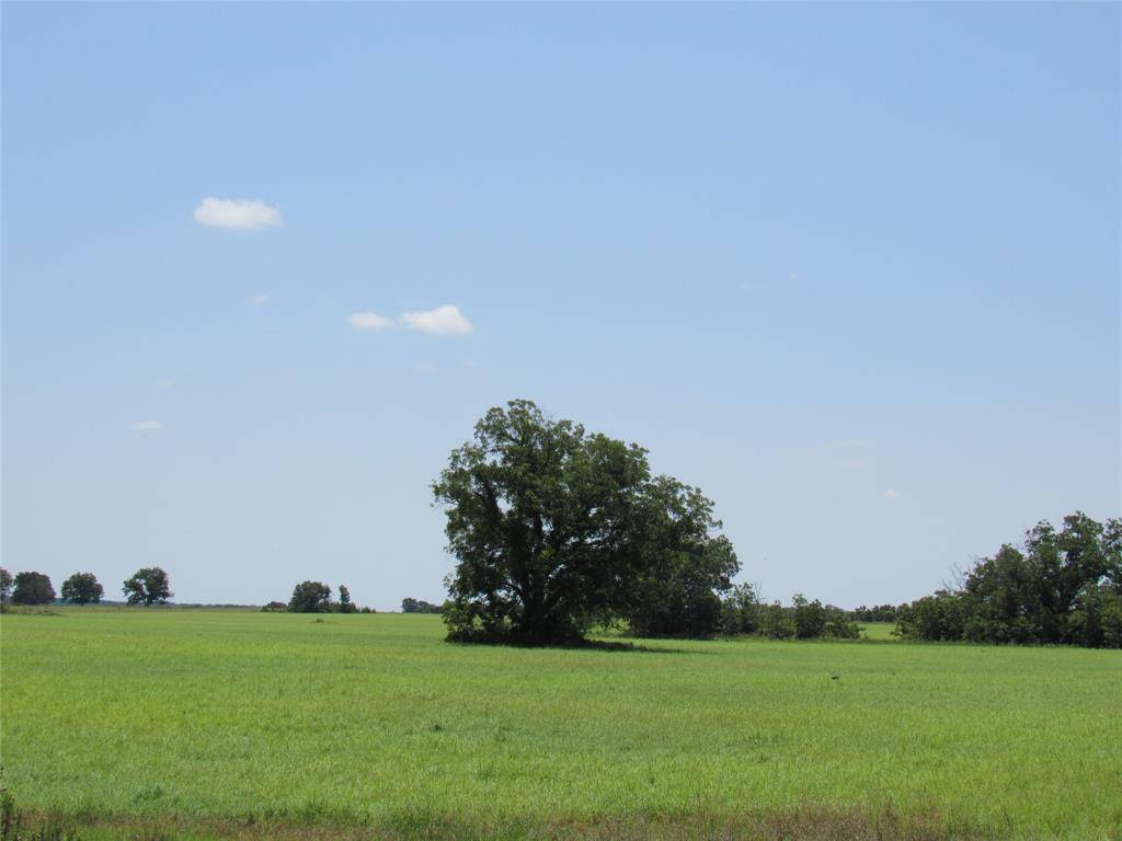 Carbon, TX 76435,TBD Co Rd 295