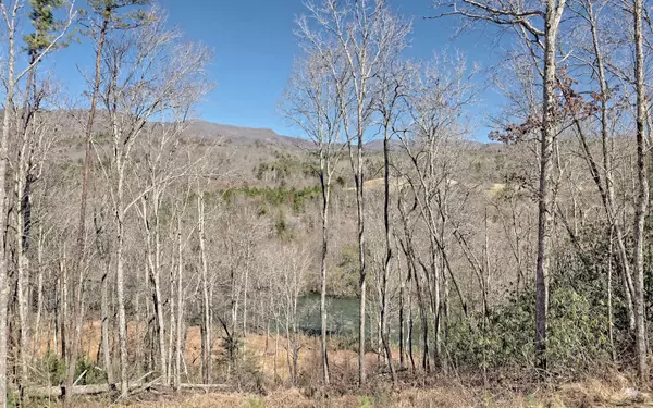 Hayesville, NC 28904,840 Lost River Trail