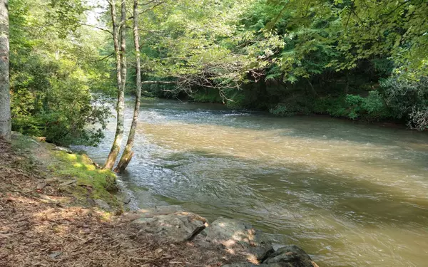 East Ellijay, GA 30536,185 Goldmine Drive