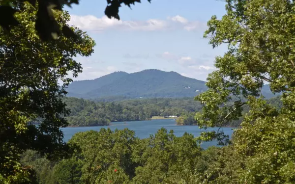 Hiawassee, GA 30546,738 Coon Cove Road