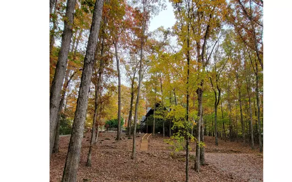 407 Altamaha Drive, Ellijay, GA 30540