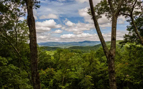 Ellijay, GA 30536,276 Walnut Mountain Road