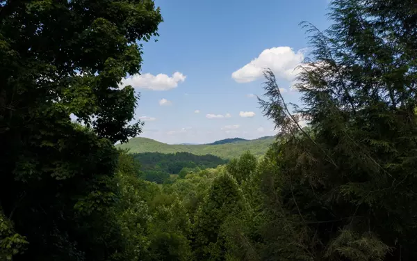 Blue Ridge, GA 30513,200 Dancing Leaves Trl 6