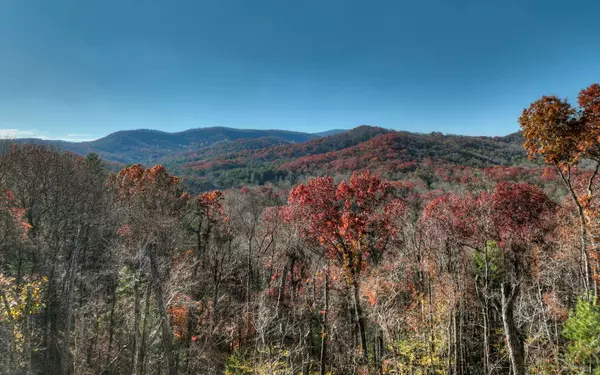 Cherry Log, GA 30522,11 Valley Overlook Drive